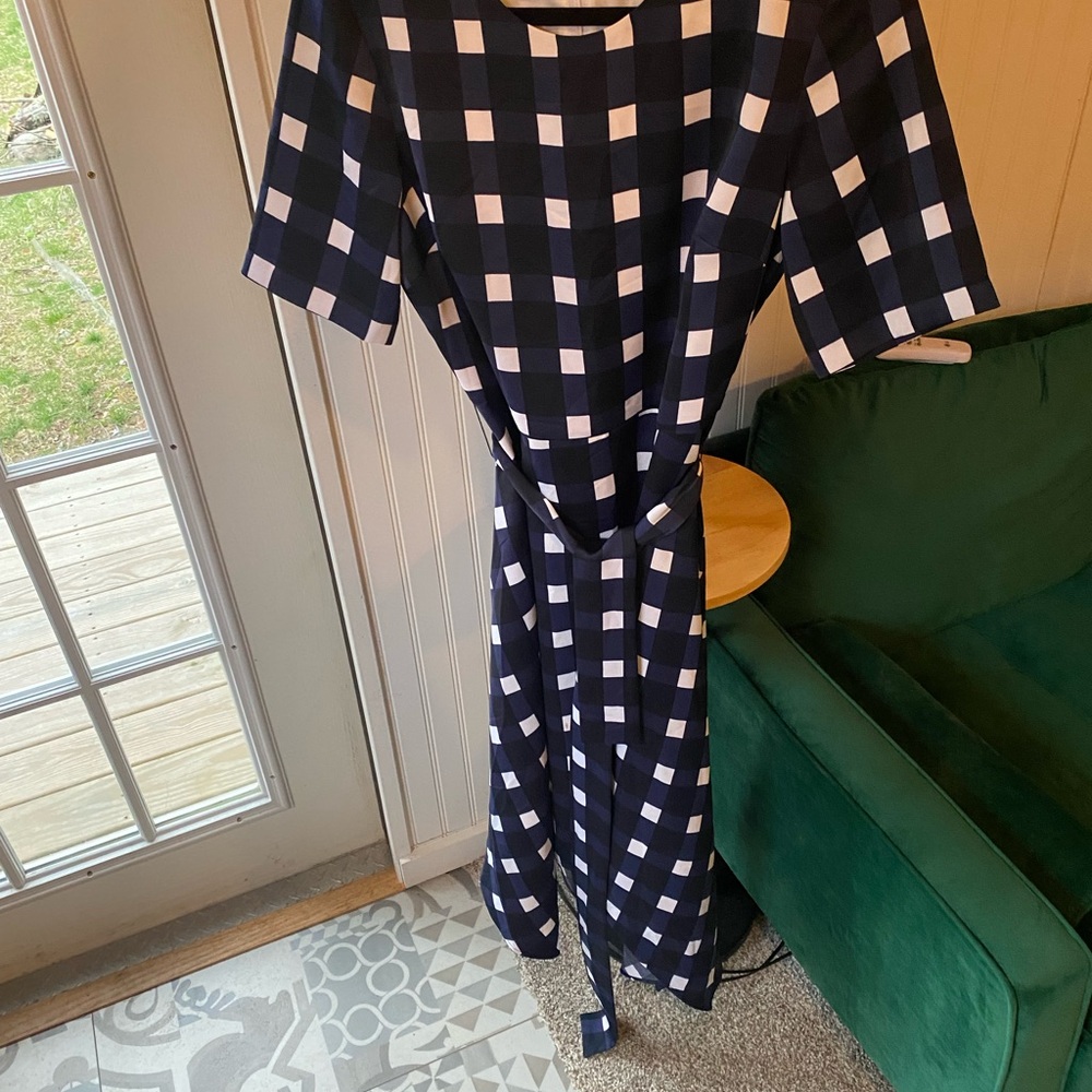 Banana Republic gingham dress